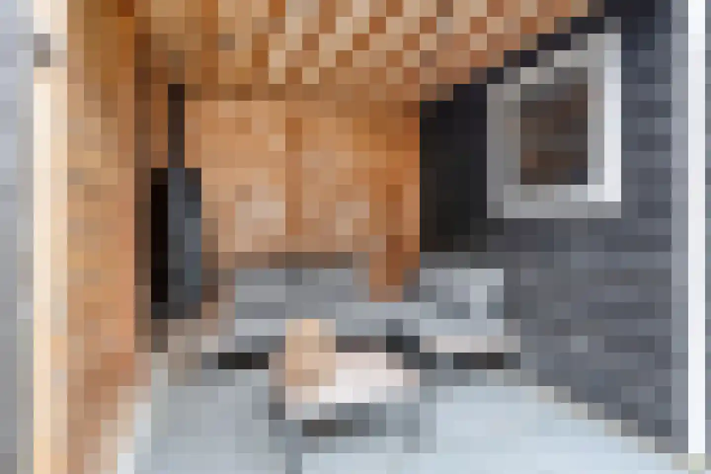 Oeverloperstraat 24 Heinkenszand thumbnail 23
