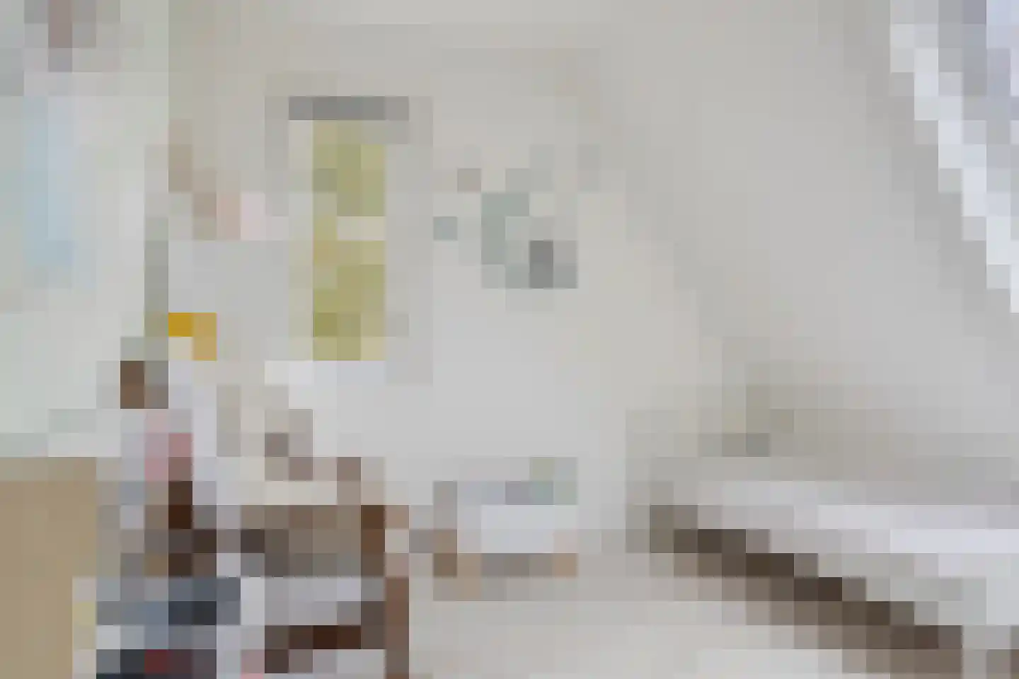 Oeverloperstraat 24 Heinkenszand thumbnail 31