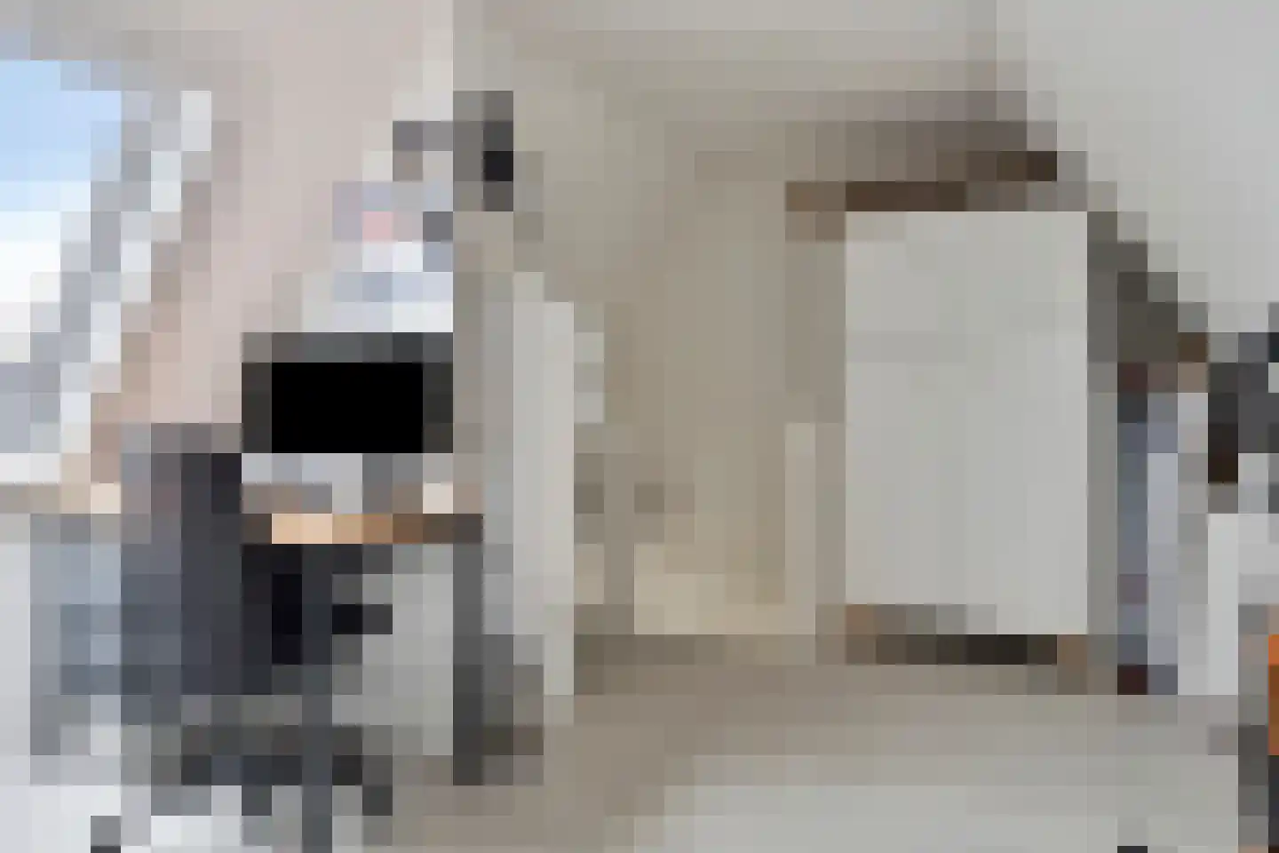 Oeverloperstraat 24 Heinkenszand thumbnail 37