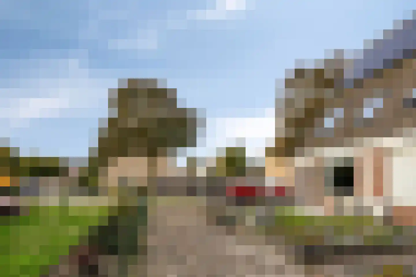Oeverloperstraat 24 Heinkenszand thumbnail 39