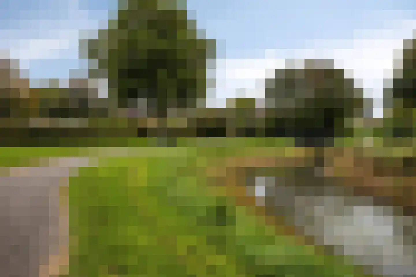 Oeverloperstraat 24 Heinkenszand thumbnail 42