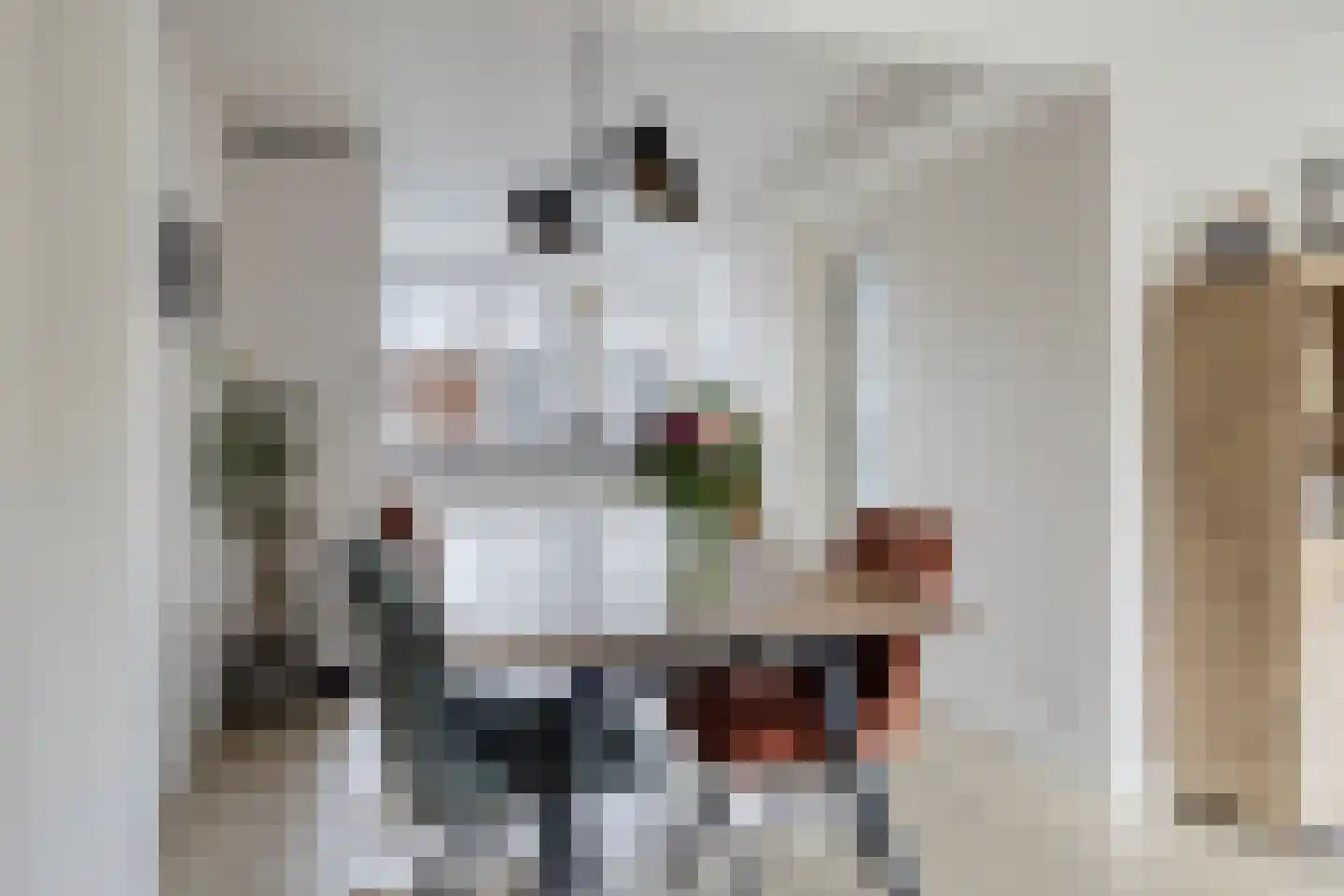 Oeverloperstraat 24 Heinkenszand thumbnail 6