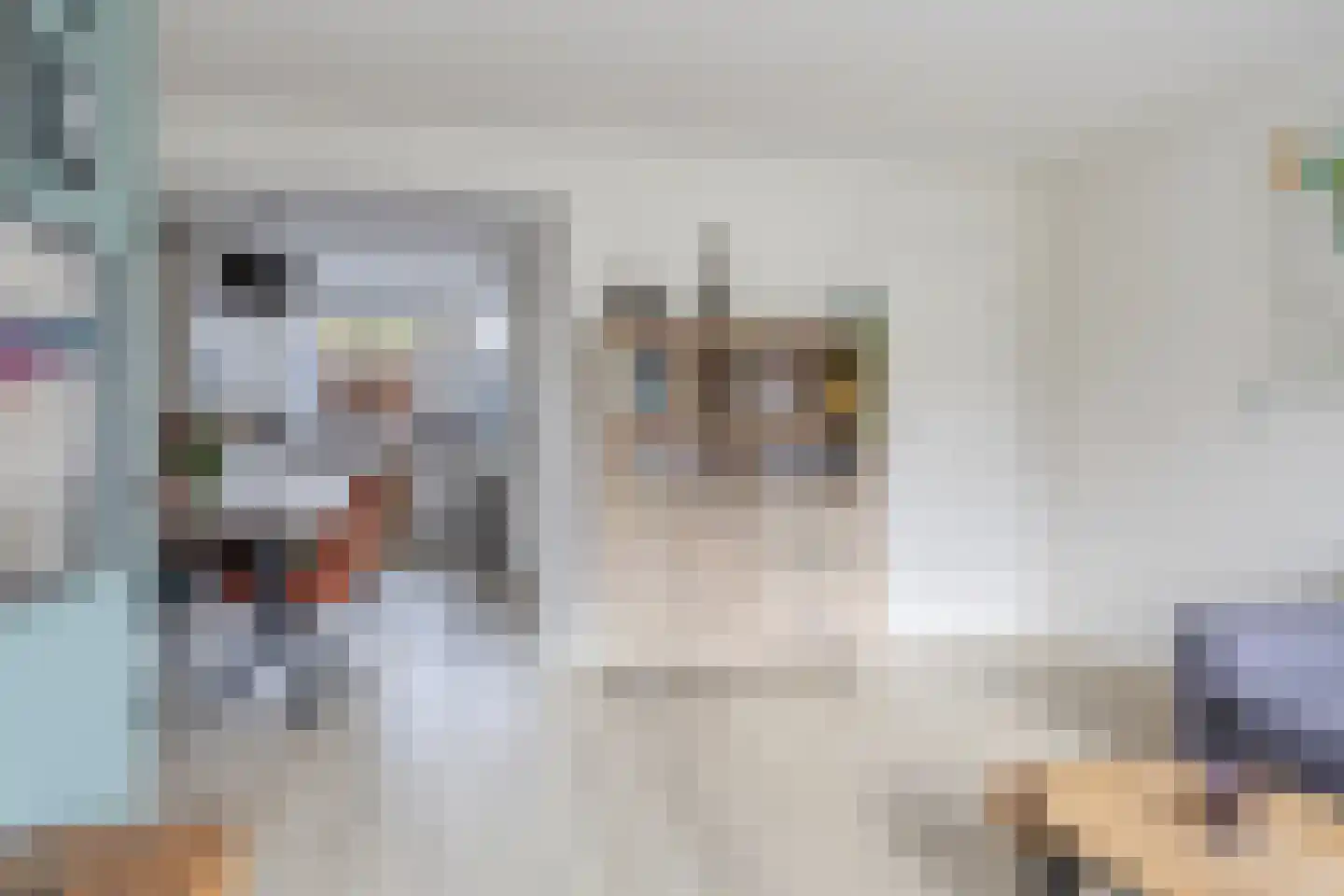 Oeverloperstraat 24 Heinkenszand thumbnail 8