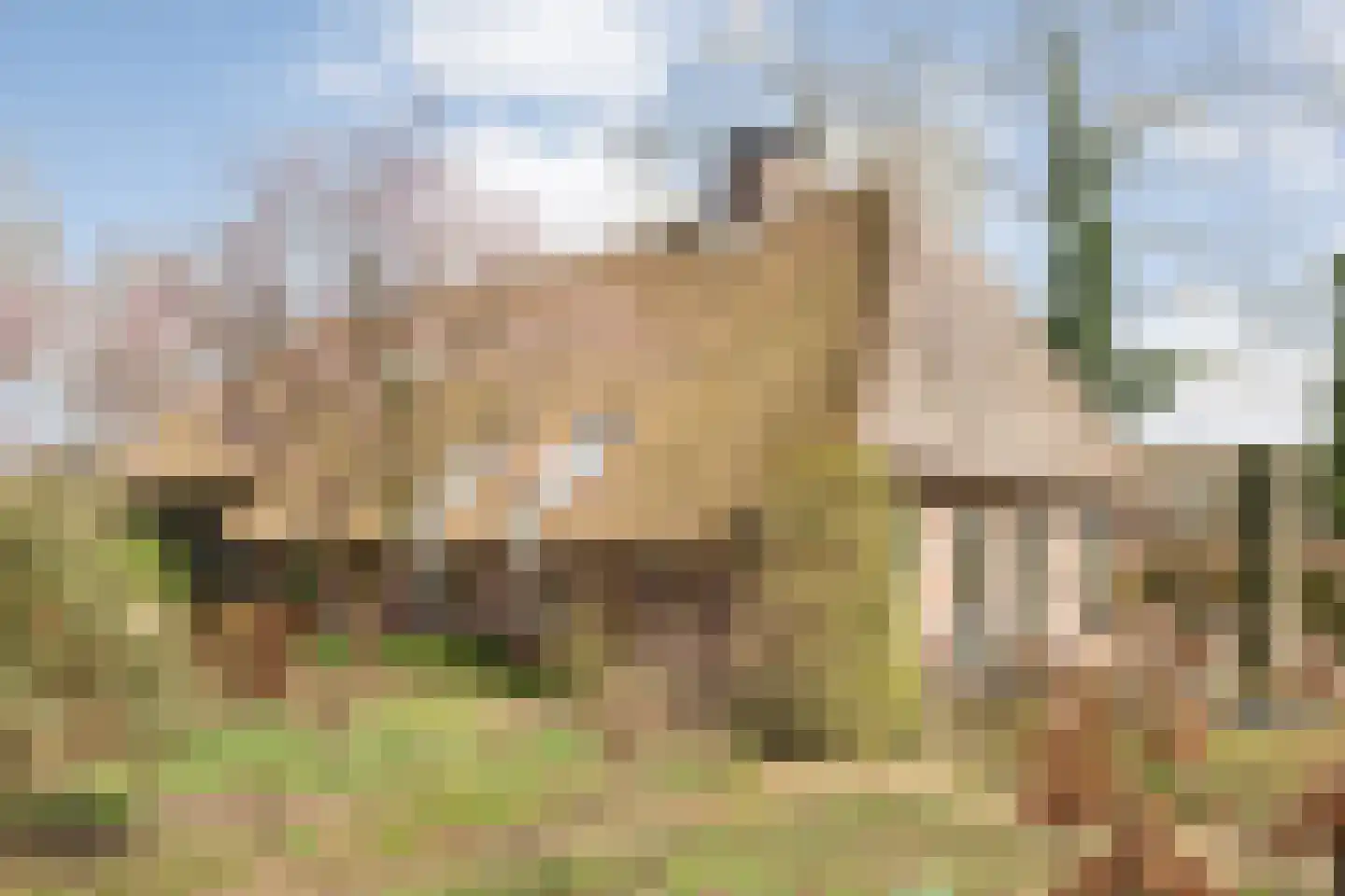 Oevermansweg 16 Emmen