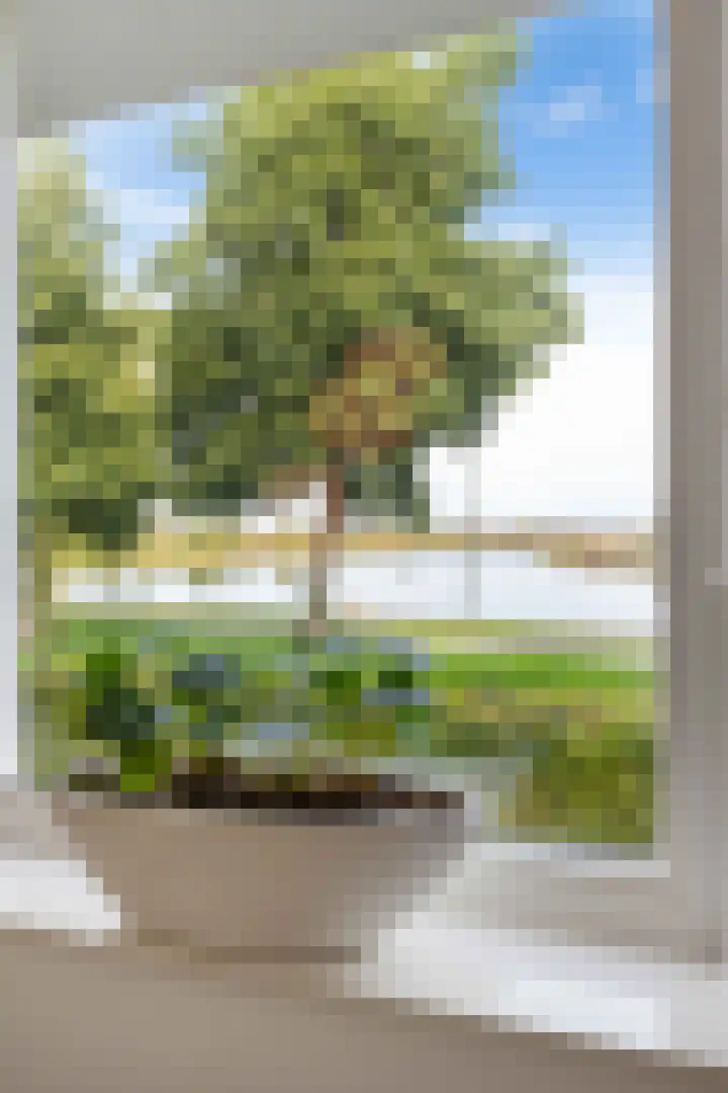 Oeverpad 131 Meerstad thumbnail 17