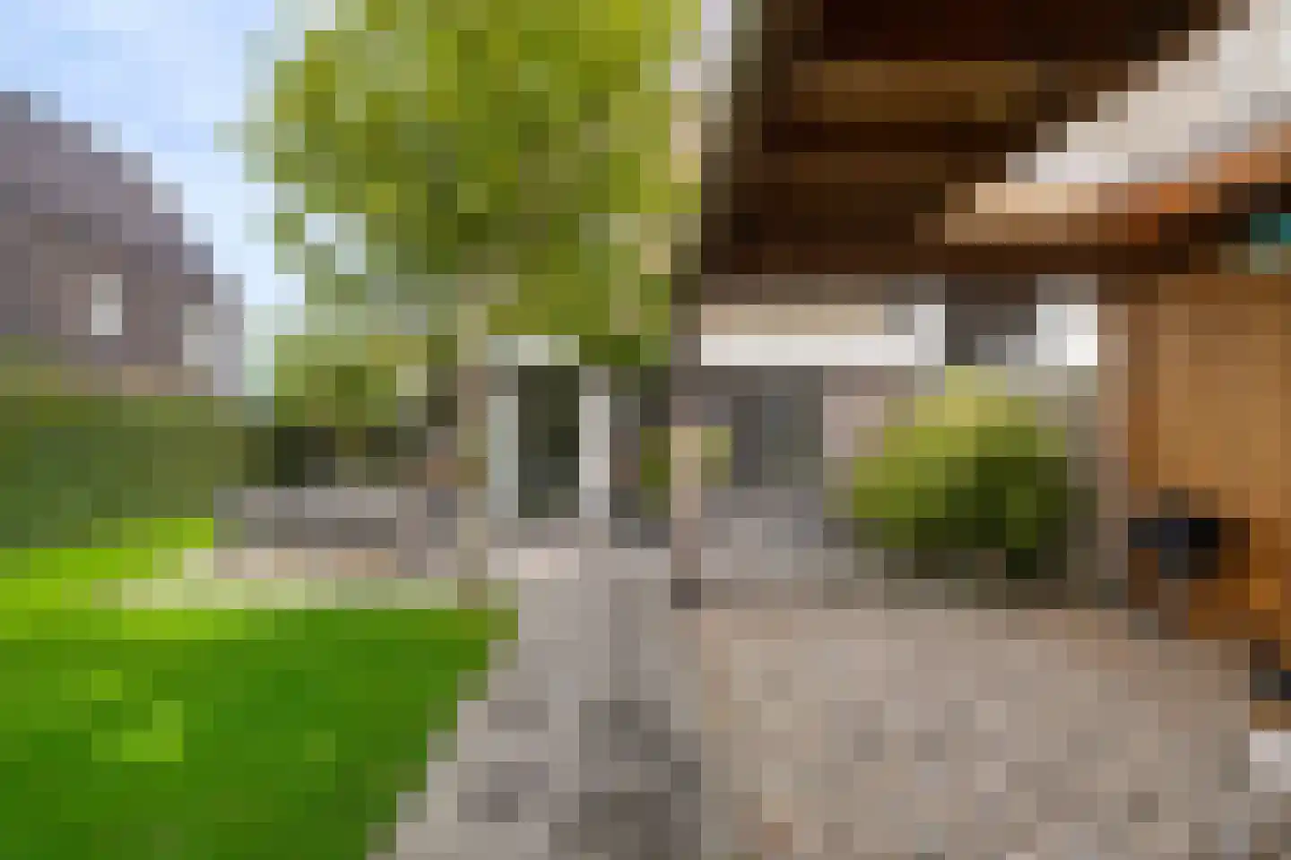 Oeverpad 131 Meerstad thumbnail 71