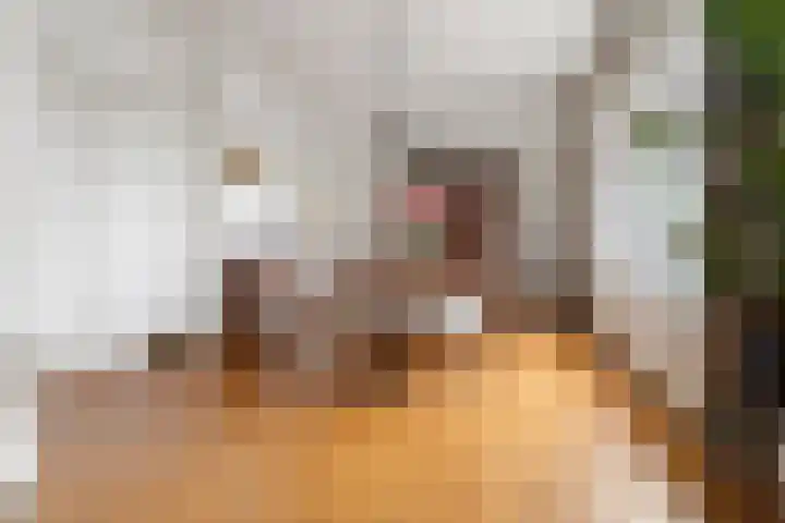 Oeverpad 167 Amsterdam thumbnail 10