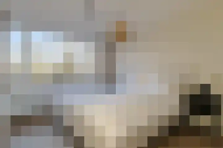 Oeverpad 167 Amsterdam thumbnail 33