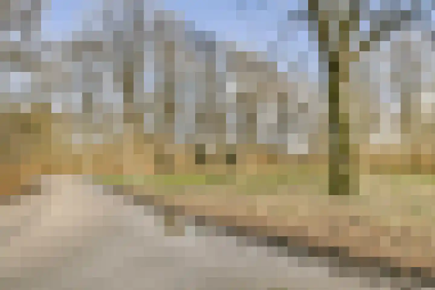 Oeverpad 191 Amsterdam thumbnail 47