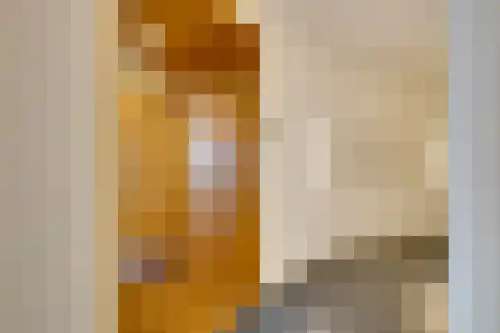 Oeverpad 201 Amsterdam thumbnail 10