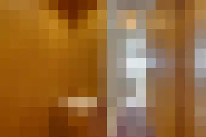 Oeverpad 201 Amsterdam thumbnail 11