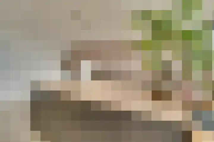 Oeverpad 201 Amsterdam thumbnail 21