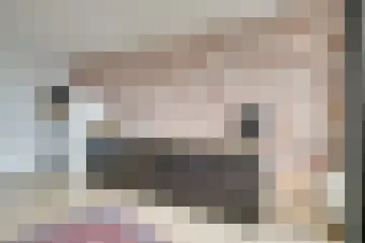 Oeverpad 201 Amsterdam thumbnail 22
