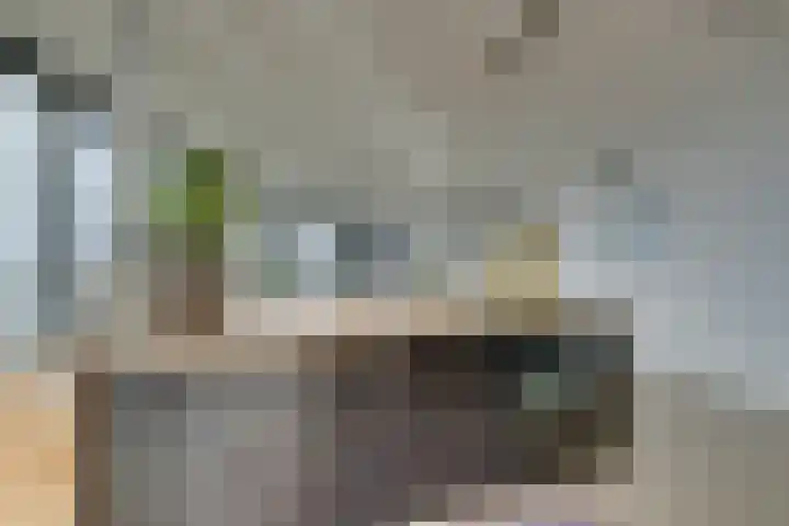 Oeverpad 201 Amsterdam thumbnail 26