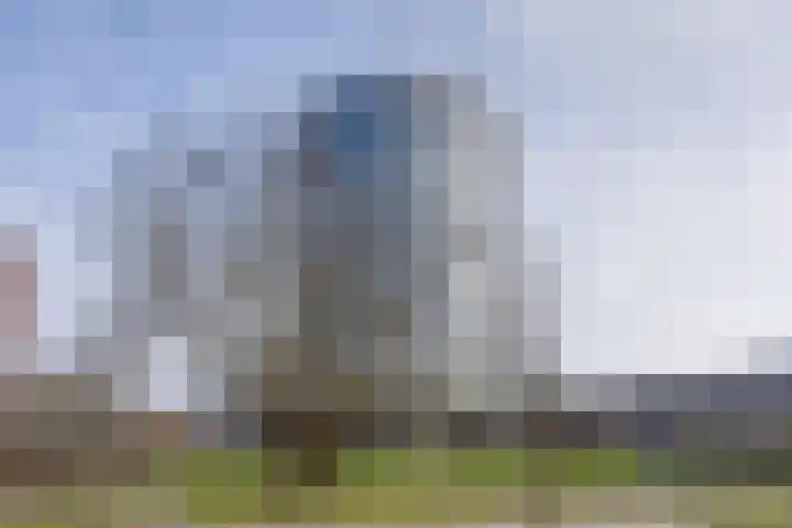 Oeverpad 201 Amsterdam thumbnail 44