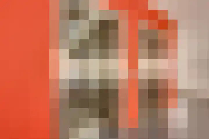 Oeverpad 201 Amsterdam thumbnail 9