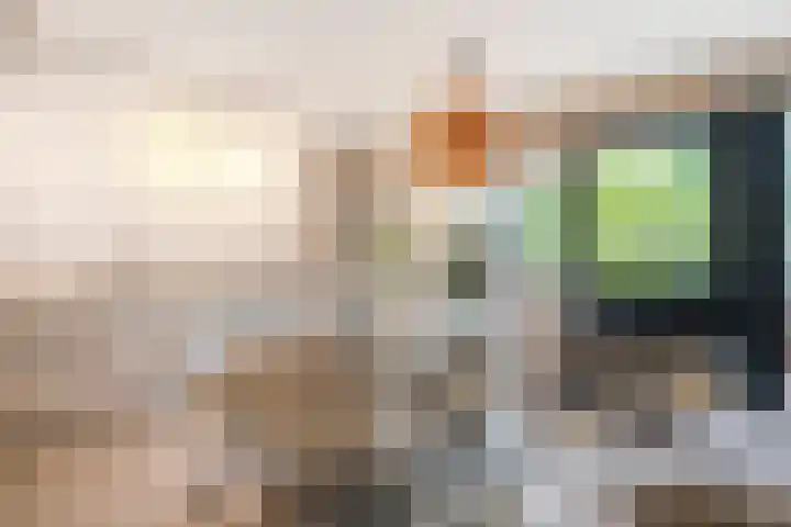 Oeverpad 225 Amsterdam thumbnail 13