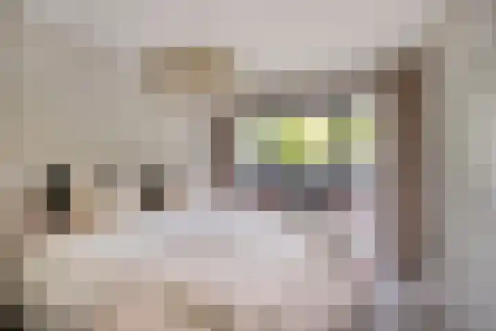 Oeverpad 225 Amsterdam thumbnail 18
