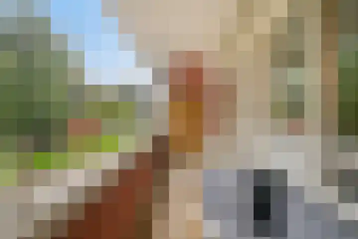 Oeverpad 225 Amsterdam thumbnail 27