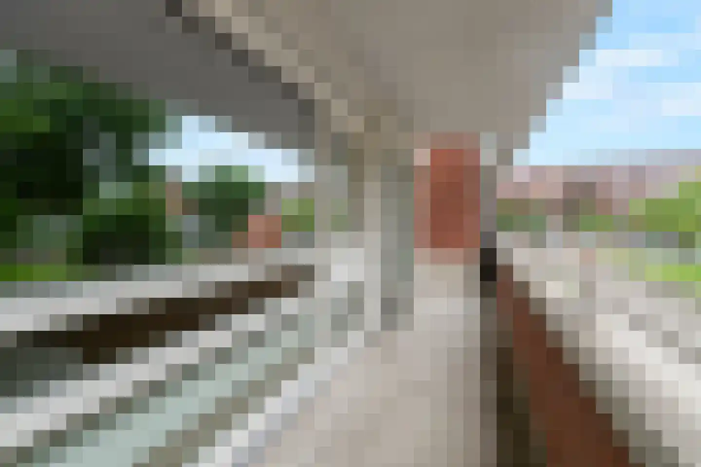 Oeverpad 230 Amsterdam thumbnail 7