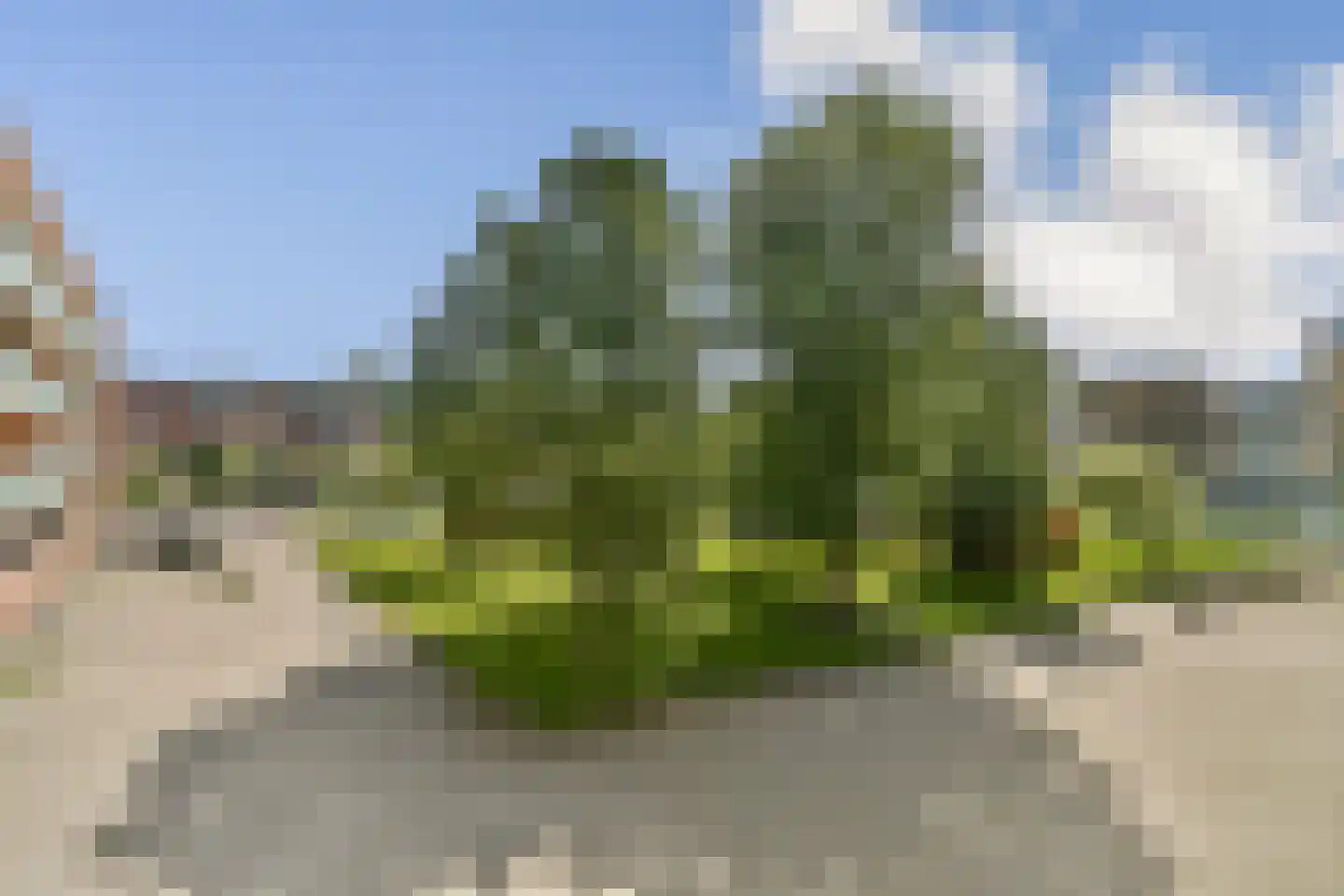 Oeverpad 242 Amsterdam thumbnail 11