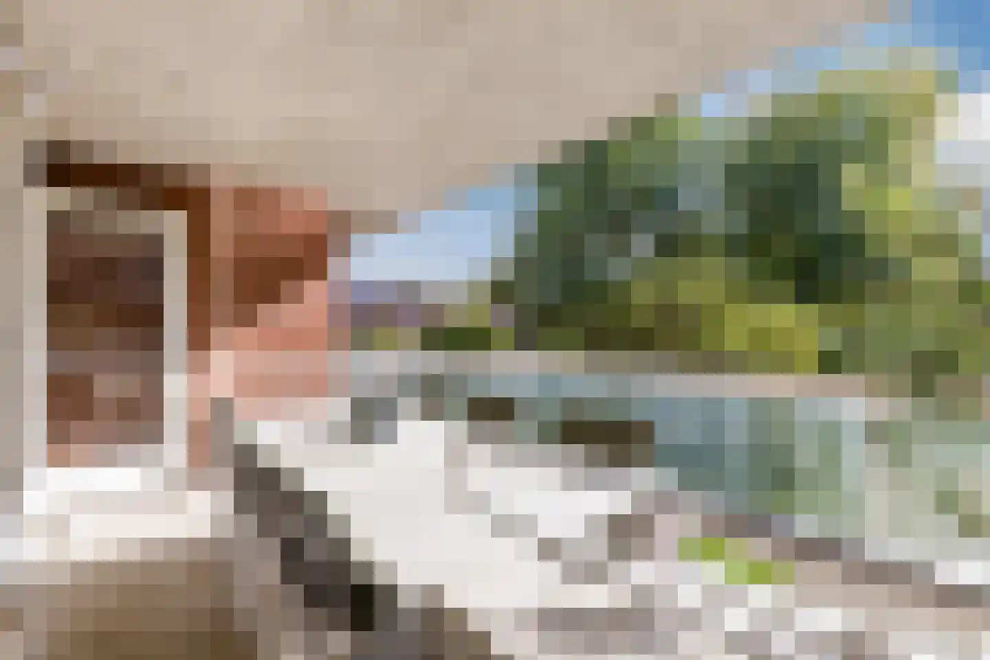 Oeverpad 244 Amsterdam thumbnail 23