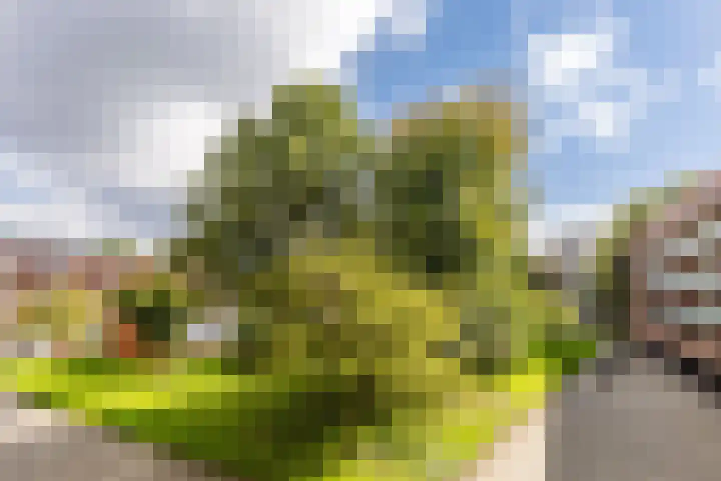 Oeverpad 244 Amsterdam thumbnail 27