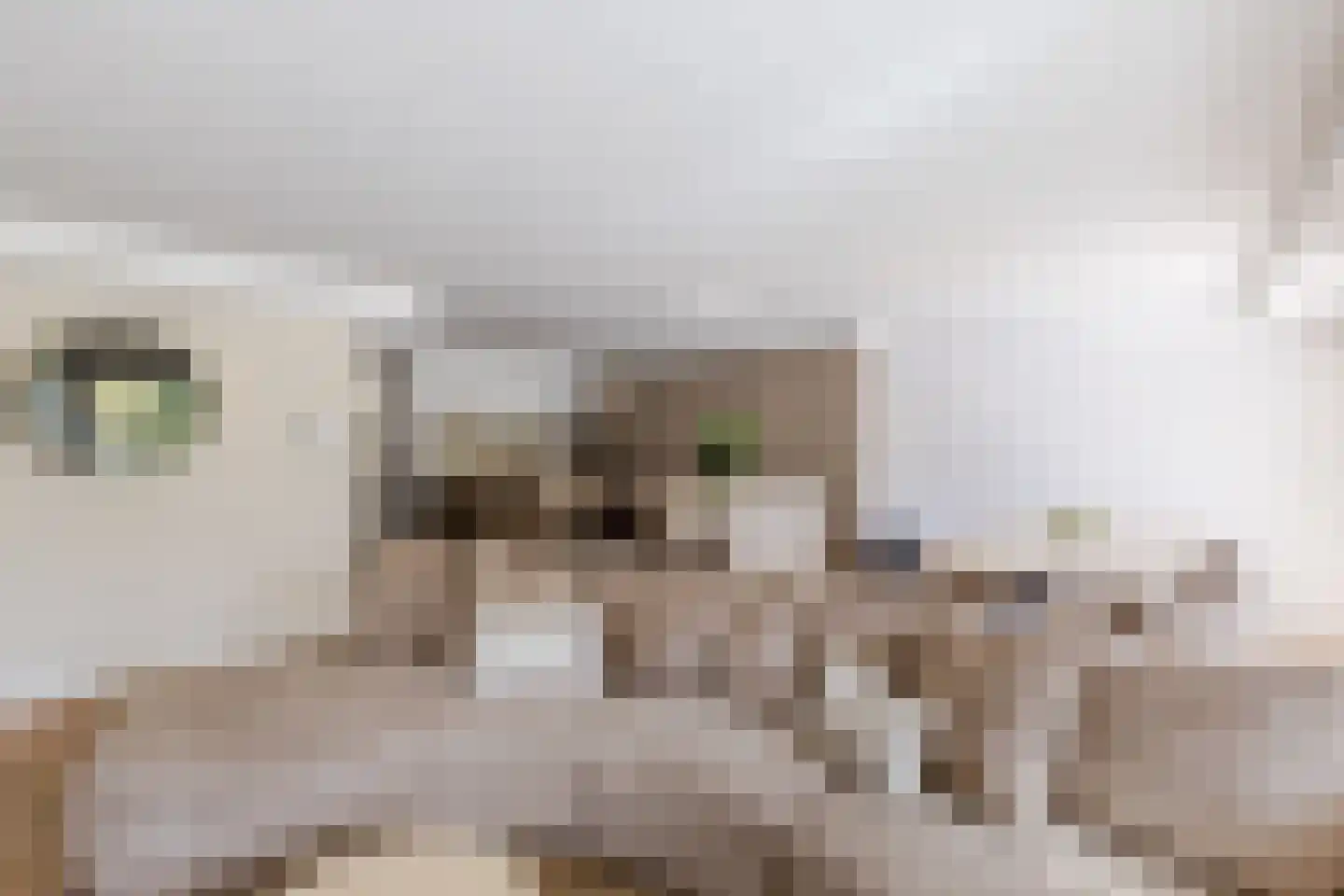 Oeverpad 244 Amsterdam thumbnail 5