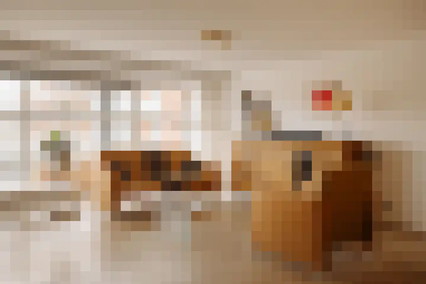 Oeverpad 259 Amsterdam thumbnail 7