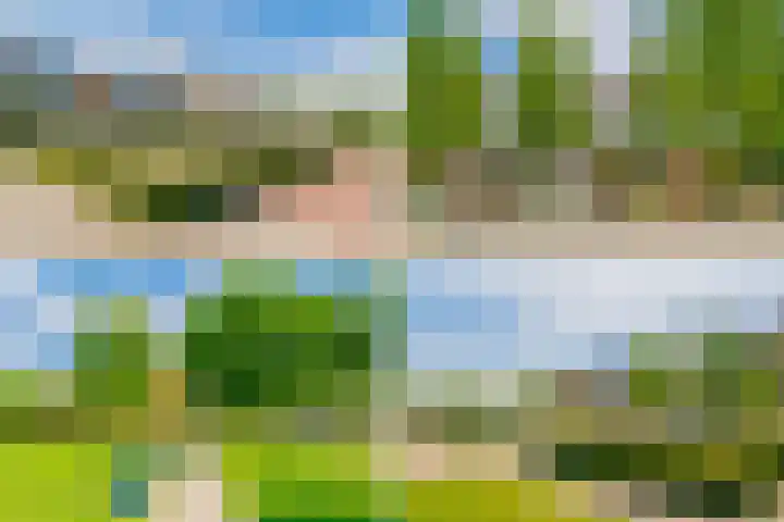 Oeverpad 267 Amsterdam thumbnail 32