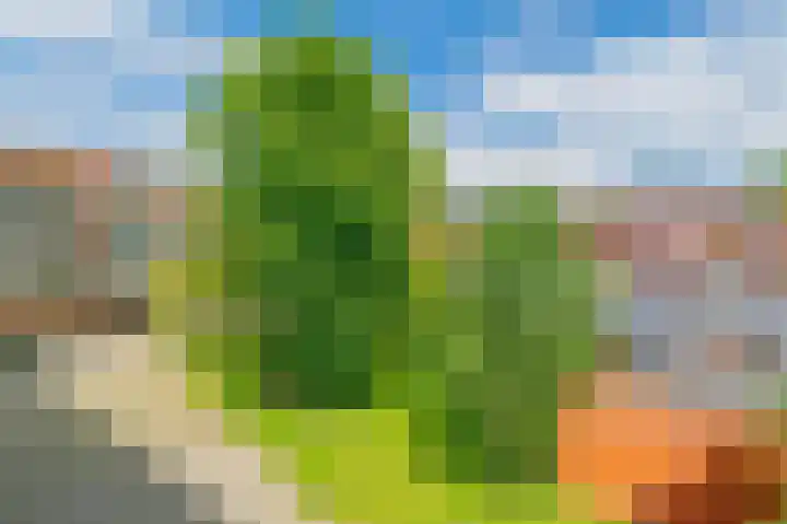Oeverpad 267 Amsterdam thumbnail 36