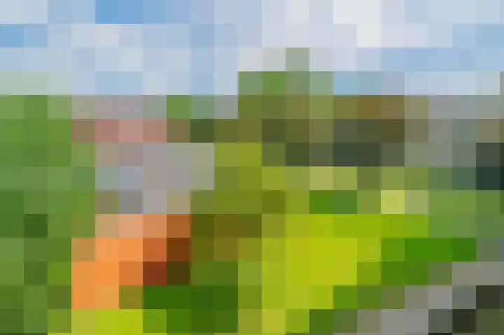 Oeverpad 267 Amsterdam thumbnail 37