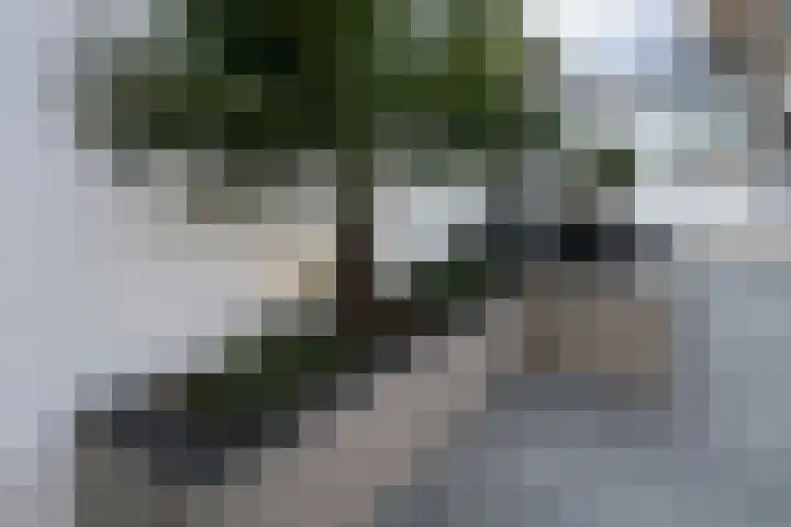 Oeverpad 279 Amsterdam thumbnail 22