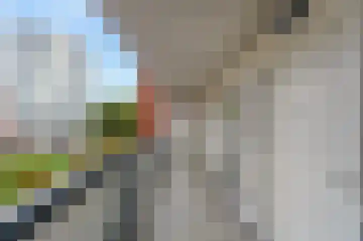 Oeverpad 279 Amsterdam thumbnail 27