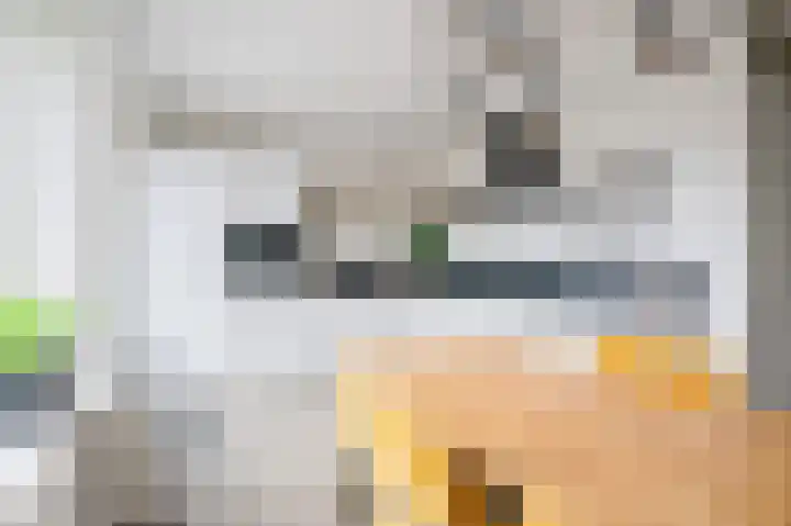 Oeverpad 281 Amsterdam thumbnail 17