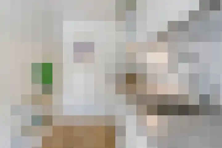 Oeverpad 290 Amsterdam thumbnail 12