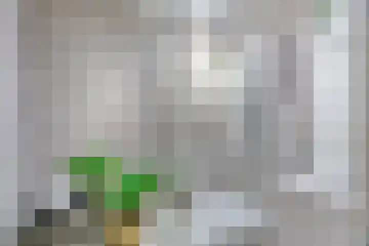 Oeverpad 290 Amsterdam thumbnail 16