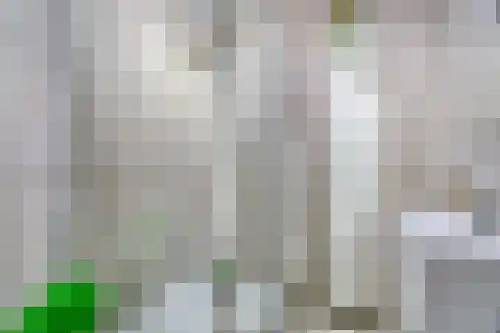 Oeverpad 290 Amsterdam thumbnail 17