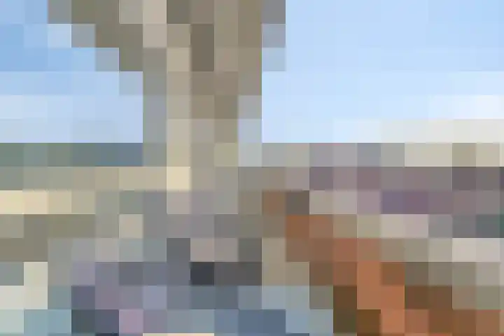 Oeverpad 290 Amsterdam thumbnail 22