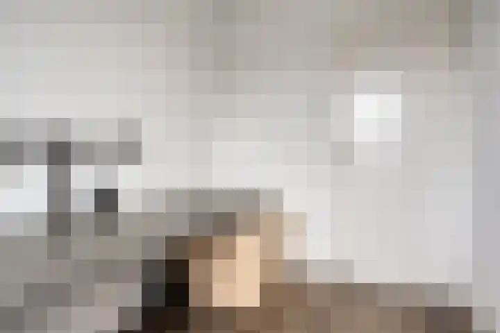 Oeverpad 295 Meerstad thumbnail 38