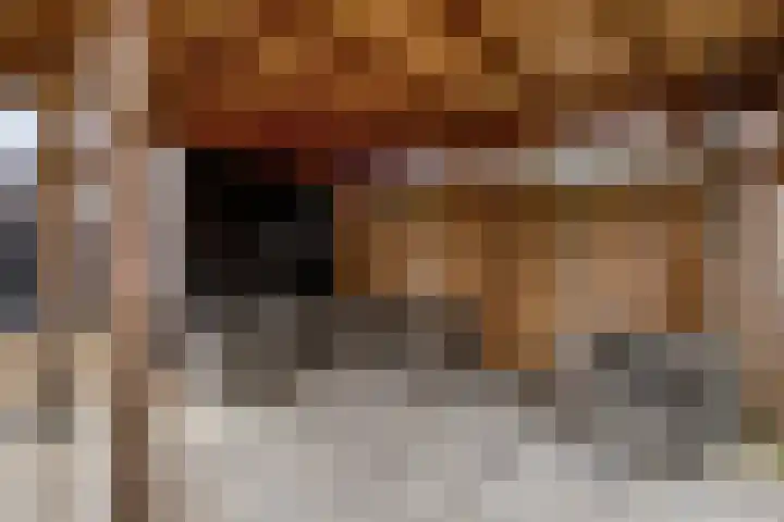 Oeverpad 295 Meerstad thumbnail 51