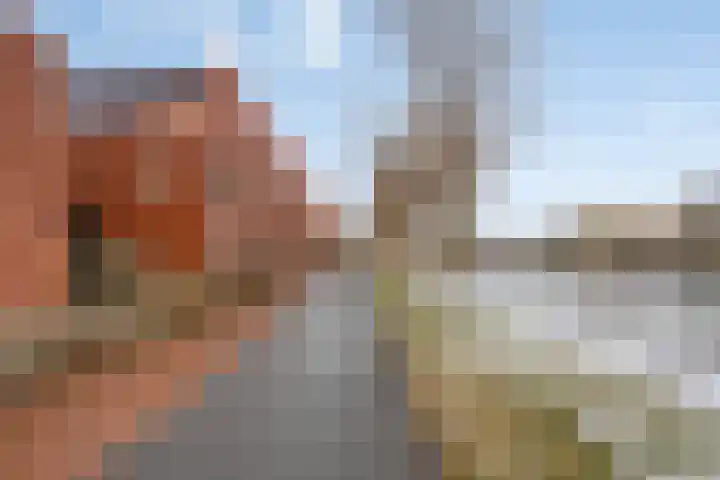 Oeverpad 295 Meerstad thumbnail 9
