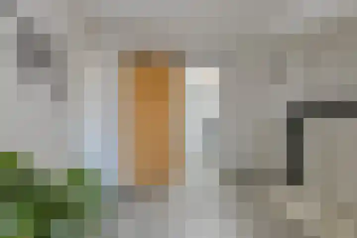Oeverpad 371 Amsterdam thumbnail 16