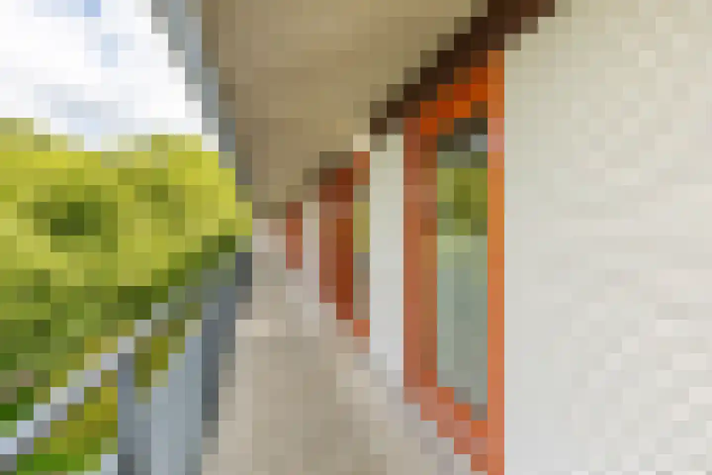 Oeverpad 398 Amsterdam thumbnail 23