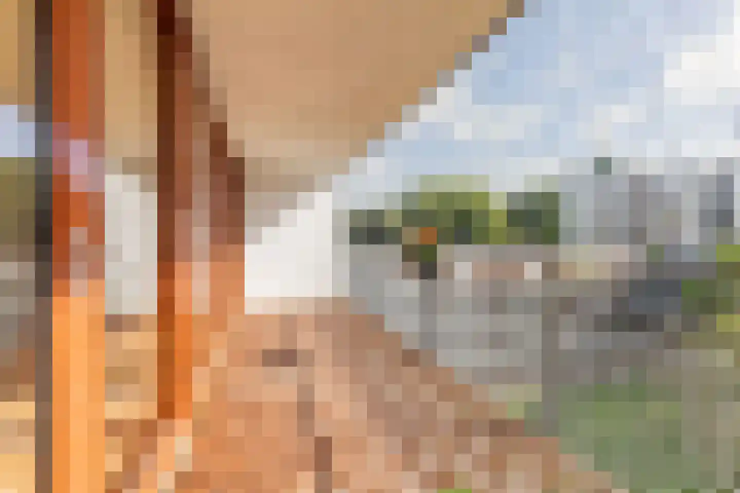 Oeverpad 398 Amsterdam thumbnail 7