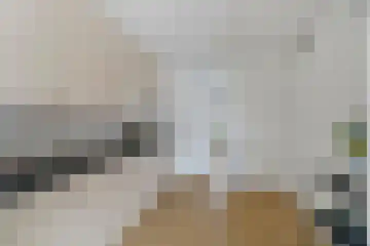 Oeverpad 399 Amsterdam thumbnail 11
