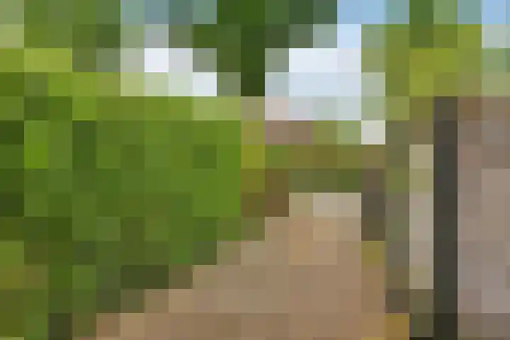 Oeverpad 399 Amsterdam thumbnail 15