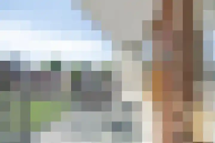 Oeverpad 399 Amsterdam thumbnail 21