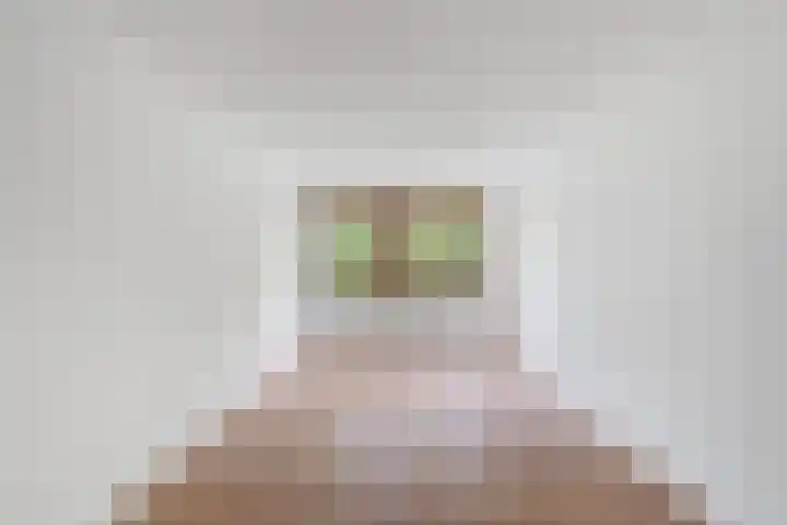 Oeverpad 401 Amsterdam thumbnail 13