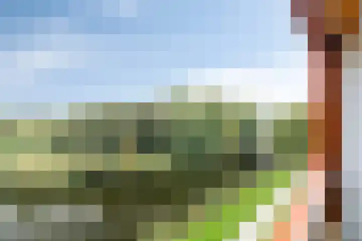 Oeverpad 401 Amsterdam thumbnail 18